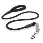 Dog Lead with Buffer Shock Spring and Soft grip for Heavy Pullers