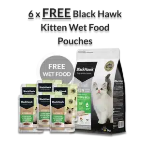 Free Kitten Wet Food