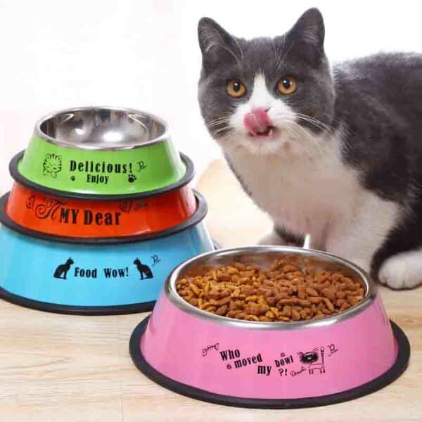 dog-food-bowl-color-printed-stainless-steel-pet-bowls