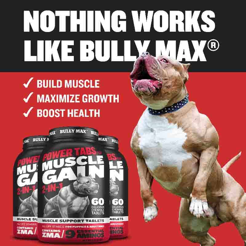 is bully max good for dogs