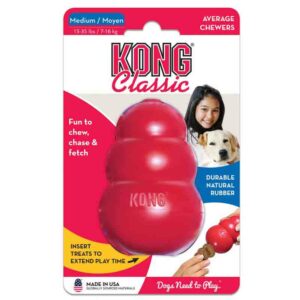 kong dog toy