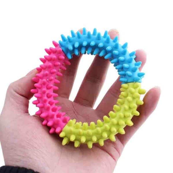 Rubber Ring Dog Toy