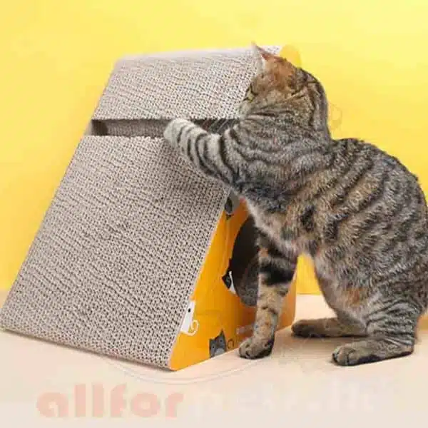 cat scratching toy