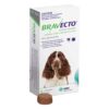 bravecto-for-dogs-green
