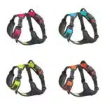 No Pull Dog Harness Comfortable and Adjustable with Back Clip
