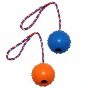 solid-rubber-ball-on-rope-dog-toy-treat-dispenser