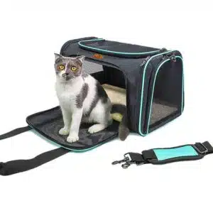 soft-sided-airline-approved-travel-dog-cat-carrier