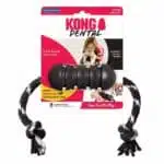 KONG Extreme Dental Toy with Rope - Medium