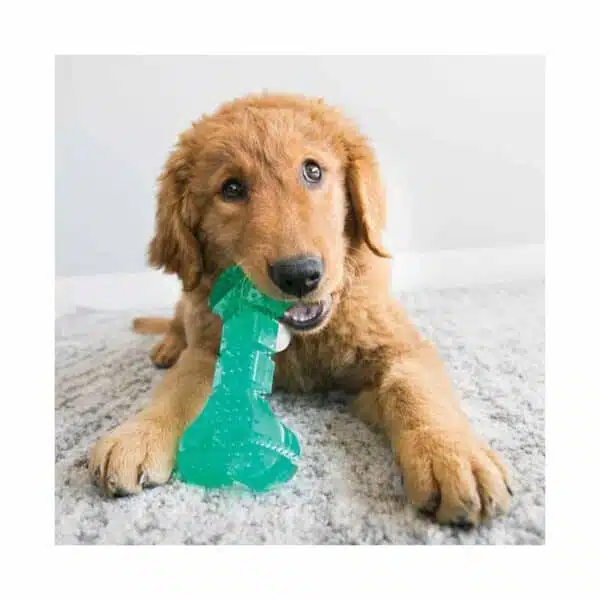 kong-squeezz-dental-ball-rubber-toy-for-dogs