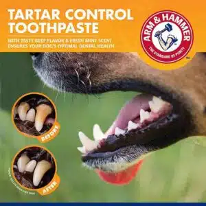 Tartar Control Enzymatic Toothpaste For Dogs Beef