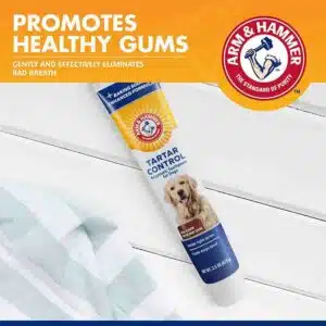 Tartar Control Enzymatic Toothpaste For Dogs Beef