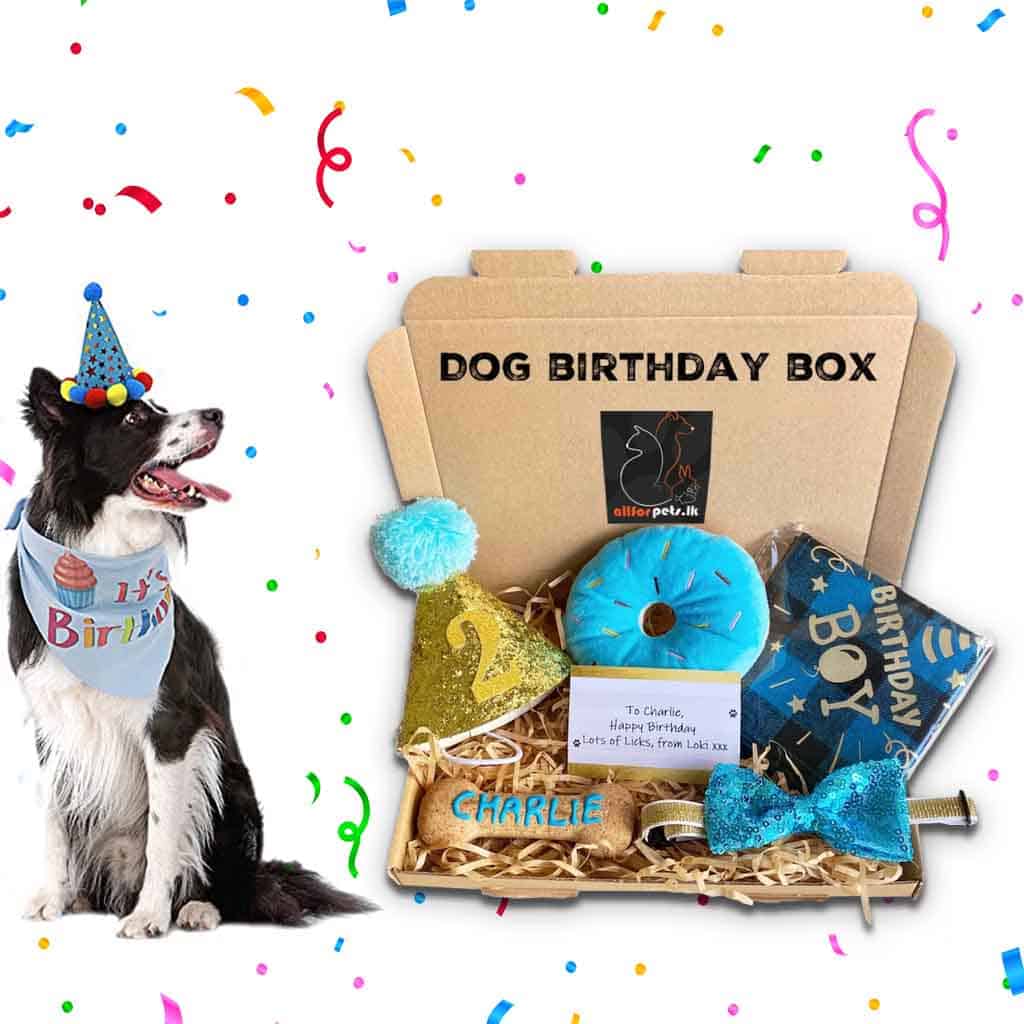 Dog birthday box