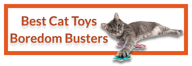 Best Cat toys Boredom Busters