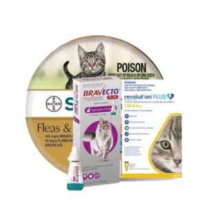 Flea, Tick and Worming