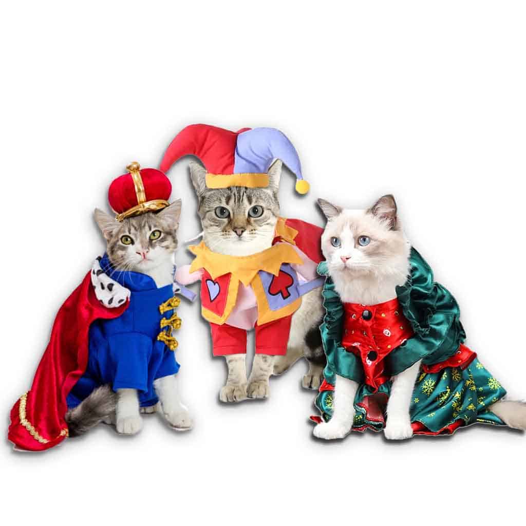 cat costume shop