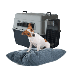 Beds, Crates & Kennels