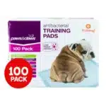 Puppy Training Pads Antibacterial 100 Pack