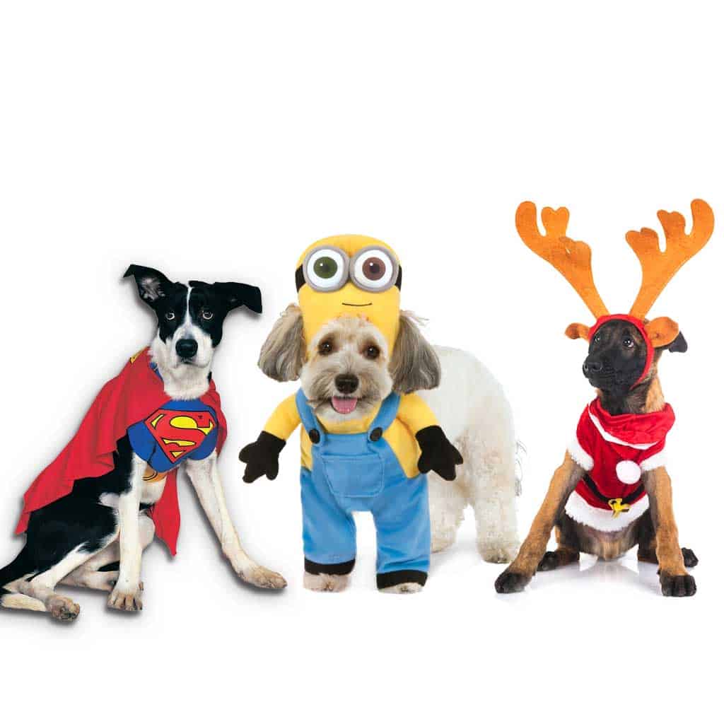 Dog costume shop