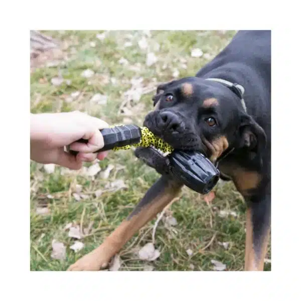 Dog pulling a KONG Jaxx Braided Tug Dog Toy