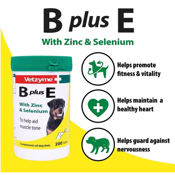 B Plus E Dog Vitamin Vetzyme benefits