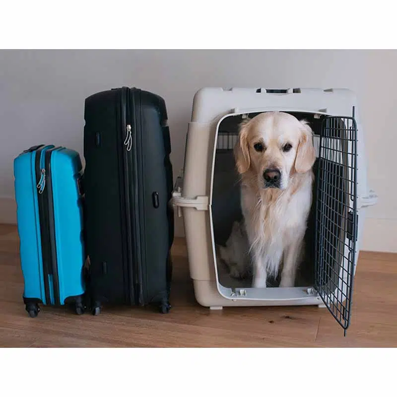 Travelling with your Pet from Sri Lanka