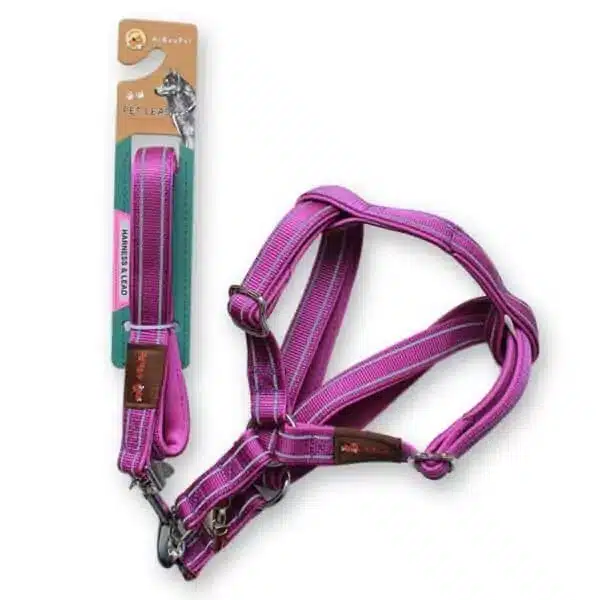 Pet Leash and Harness